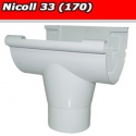 Nicoll 33 (170)